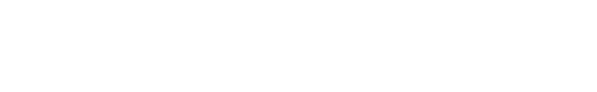 Brightree Summit Logo